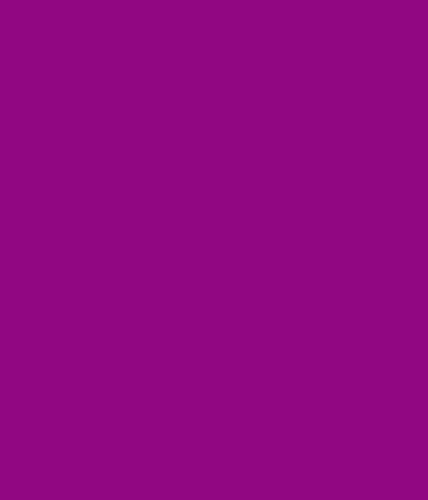紫背景